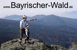 Anzeigenwerbung in Zeitungen nimmt wieder zu
